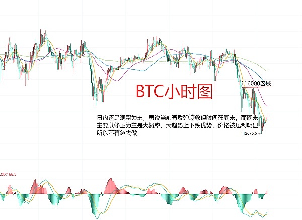 Shiba Inu生态：当价格不再是唯一指标，未来更值得期待