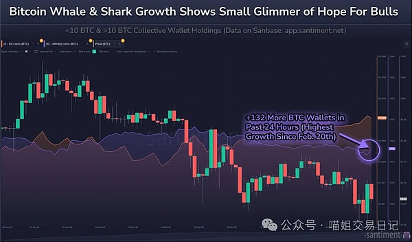 科技风云录：OpenAI宫斗剧与加密世界新动态
