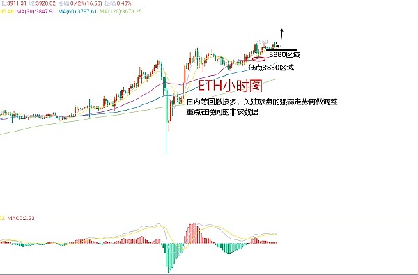 251倍神话！SOL逆袭之路背后的投资启示